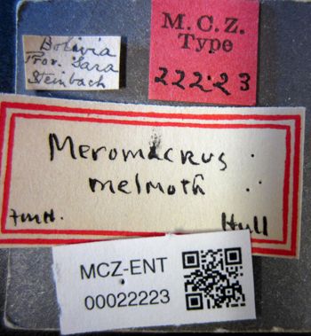 Media type: image;   Entomology 22223 Aspect: labels